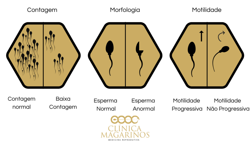 Espermograma Clínica Magarinos