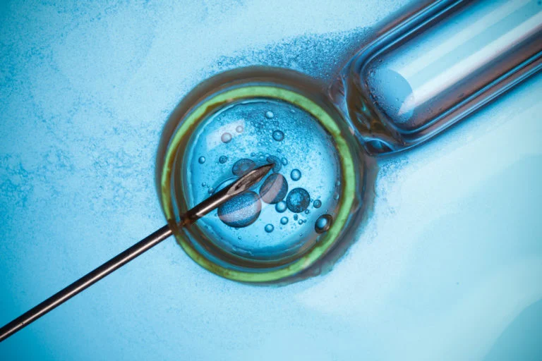 Fertilização In Vitro (FIV/ICSI)